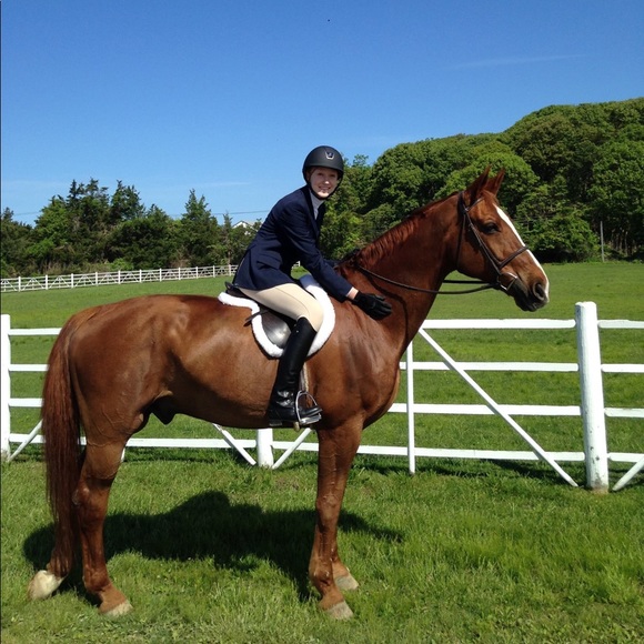 Meet your Posher, Emma - Picture 2 of 4